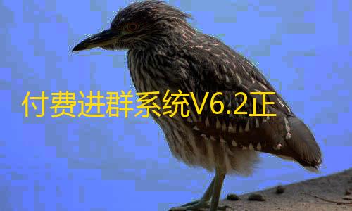 统V62正式版优用户体验
，全面提升化卡顿问题付费进群系